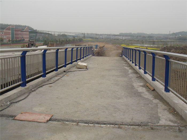 宁河桥梁不锈钢护栏